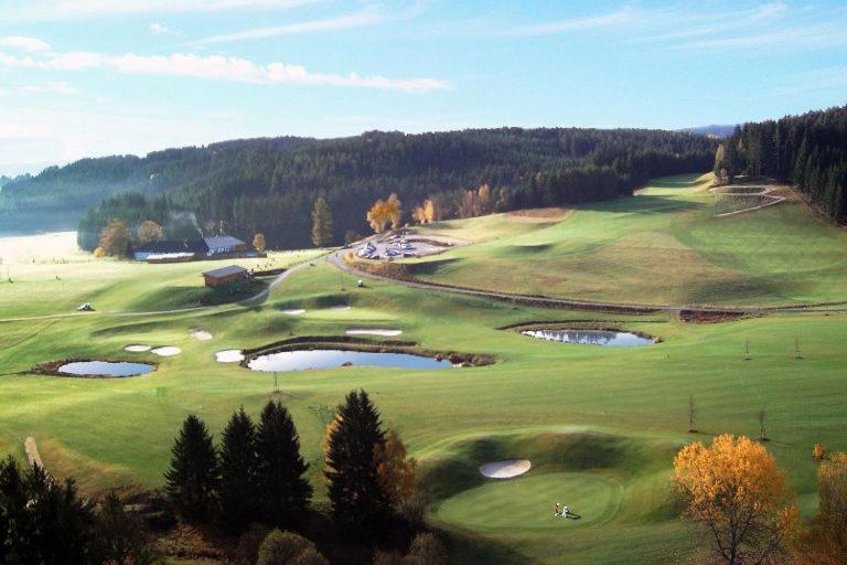 Hotel Brunnwald Bad Leonfelden Buitenkant foto